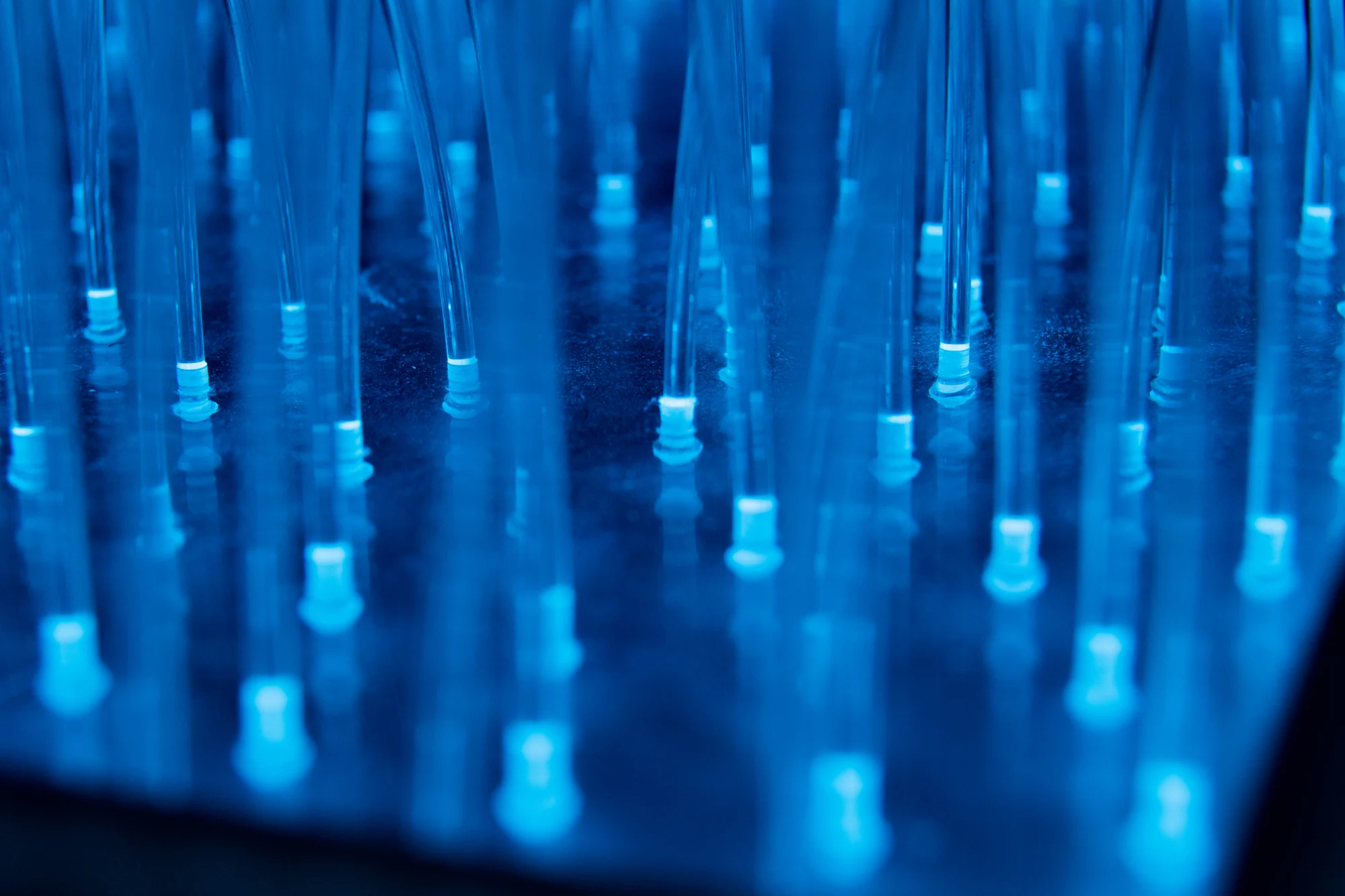 Dettaglio delle fibre illuminate